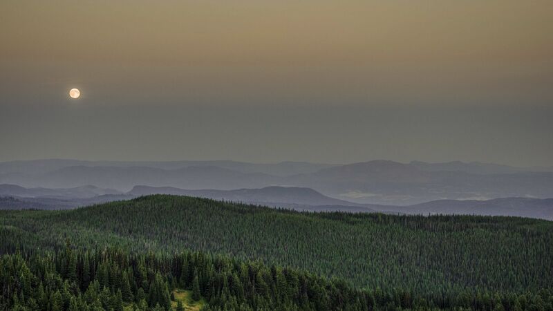 Landscape shot of a green hill with mountains in the background