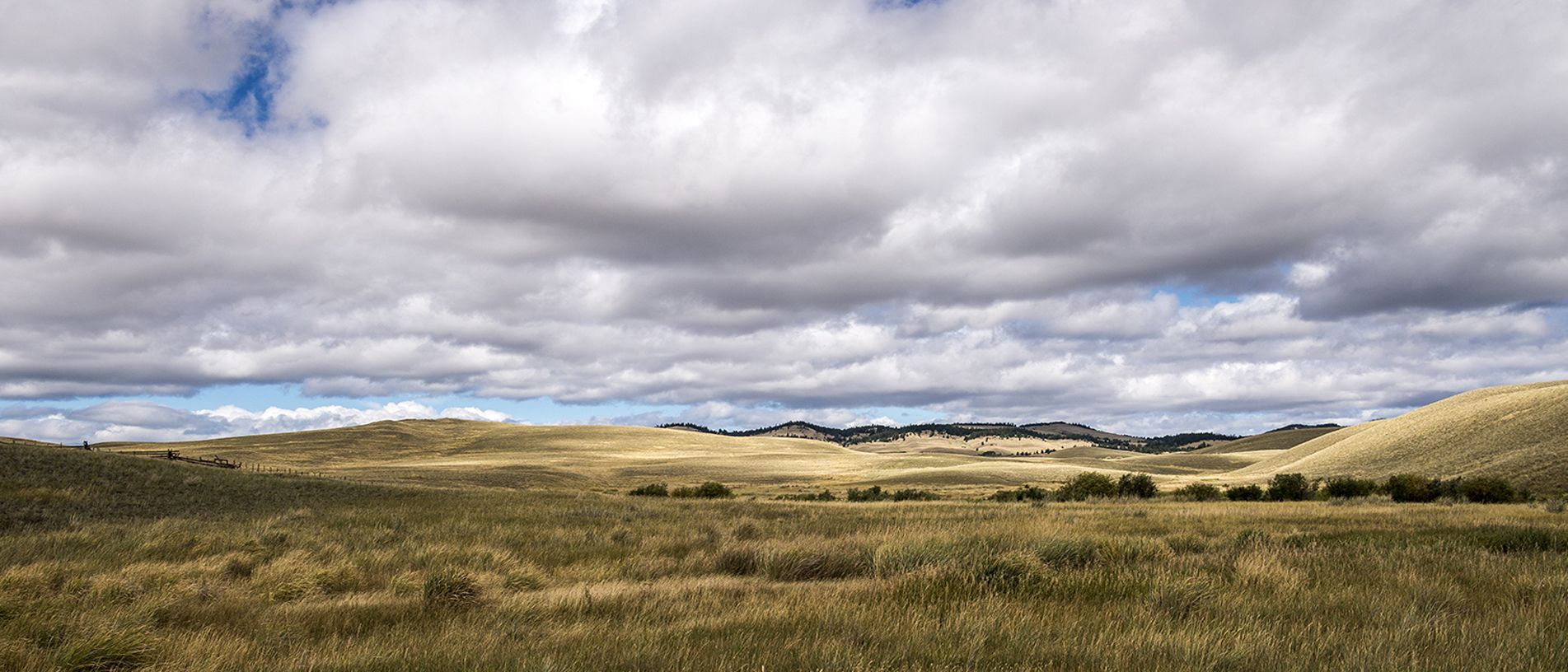Rolling pasture